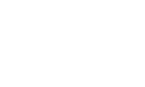 DAGAL GROUP, LDA